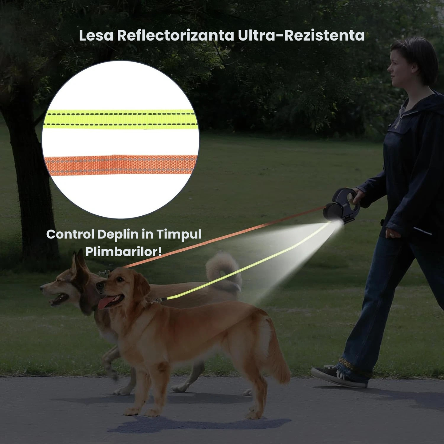 Lesa Dubla Retractabila 2 Caini Rotire 360 Grade Anti-Incurcare