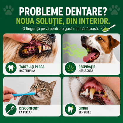 Pudră Premium pentru Igiena Orală a Câinilor și Pisicilor - Respirație Proaspătă & Protecție Împotriva Tartrului