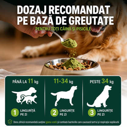 Pudră Premium pentru Igiena Orală a Câinilor și Pisicilor - Respirație Proaspătă & Protecție Împotriva Tartrului