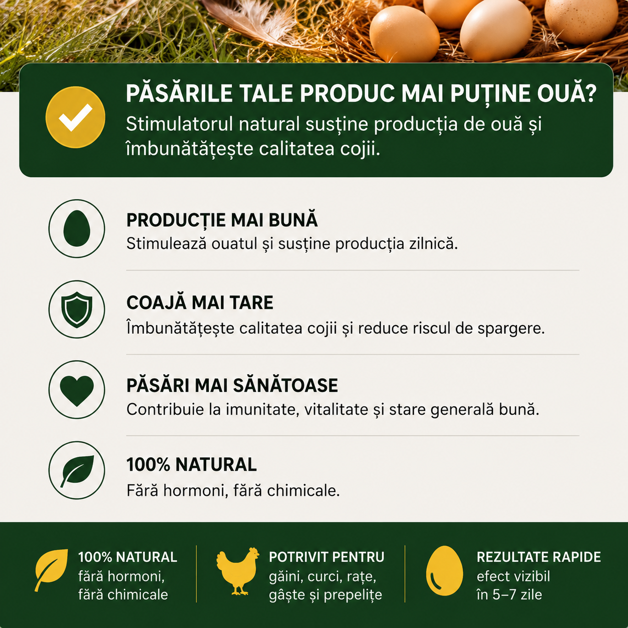 1+1 GRATIS Supliment Stimulator pentru Păsări de Curte 1 KG